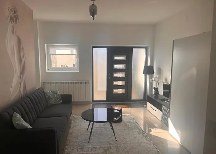 4n * 贝尔格莱德